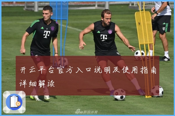 开云平台官方入口说明及使用指南详细解读